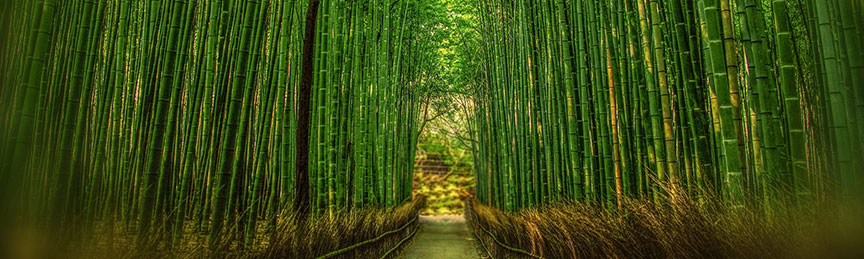 Life coaching session for personal and professional growth